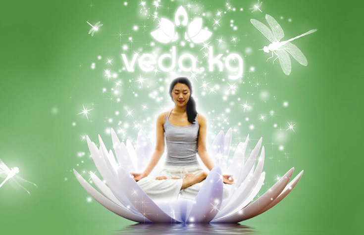 1 сентября 2015 запущен сайт veda.kg