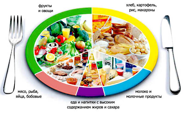 Мифы о незаменимых белках