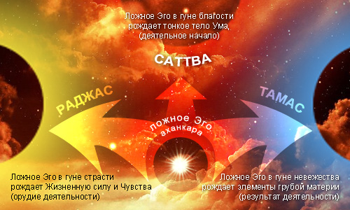 Влияние диеты и образа жизни на ум!